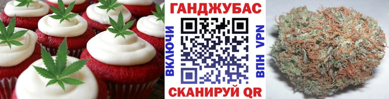 OMG онион Новозыбков Cannafood марихуана как найти наркотики