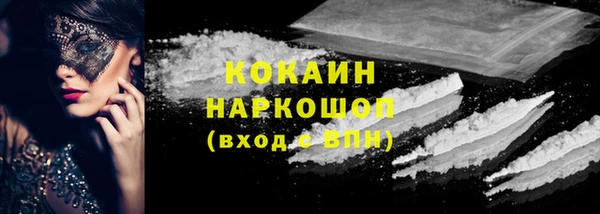 индика Алзамай