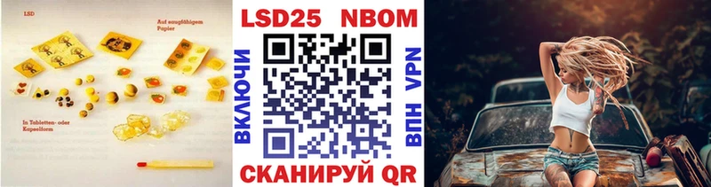 OMG ССЫЛКА  Новозыбков  LSD-25 экстази кислота 
