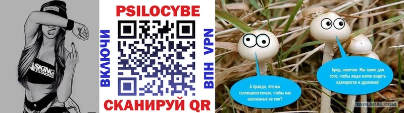 Галлюциногенные грибы мицелий  Новозыбков 