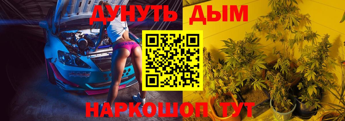 Новозыбков  Бошки Шишки индика  Каннабис OG Kush  Вход с VPN 